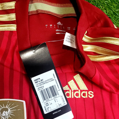 Torres Spain 2014 WORLD CUP Soccer Jersey BNWT L SKU# G85279