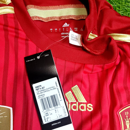 Iniesta Spain 2014 WORLD CUP Soccer Jersey BNWT L SKU# G85279